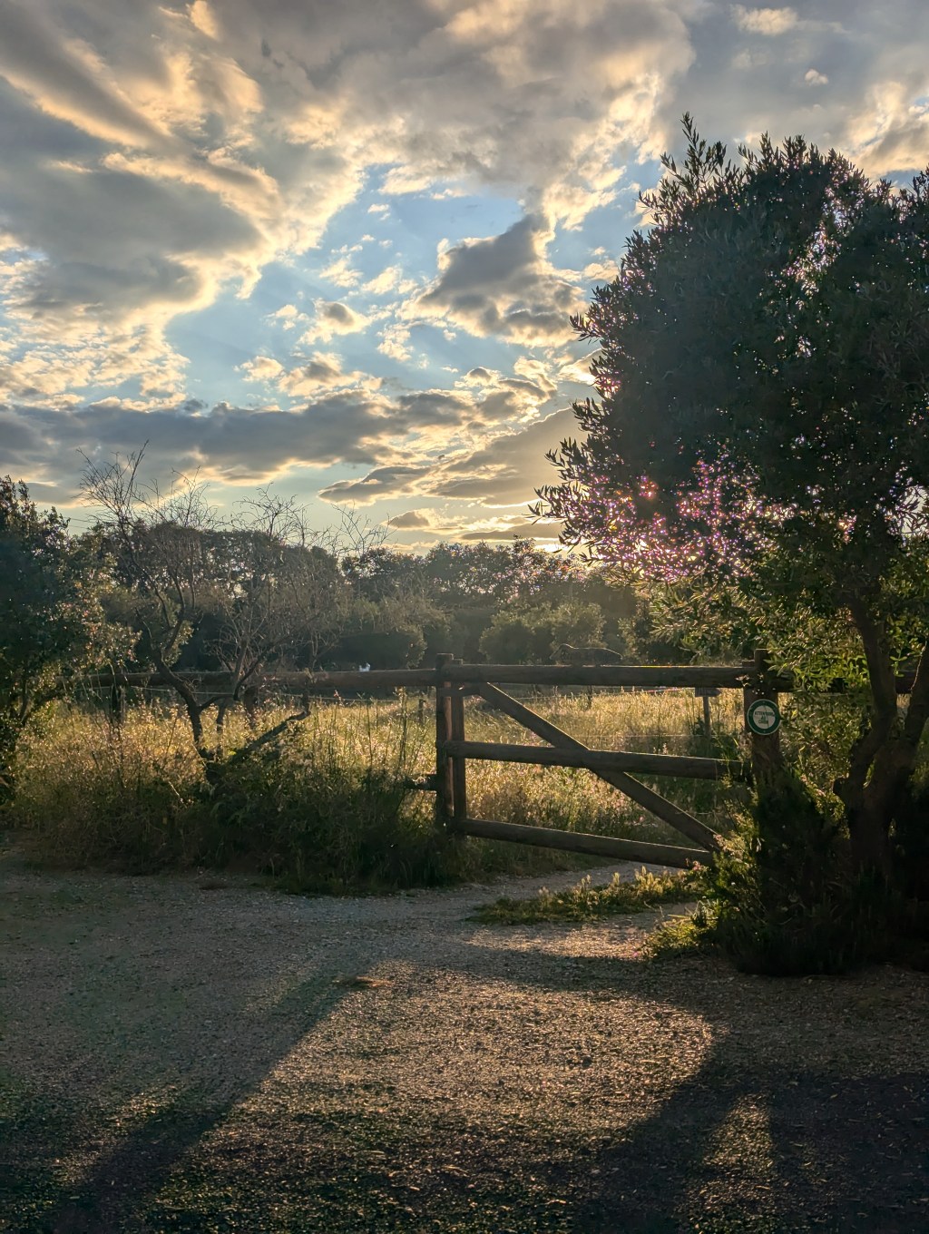 la beauté d'un couché de soleil